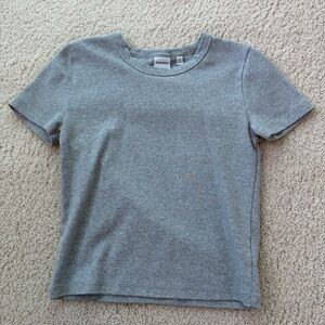 Aritzia Sunday Best Grey Cropped Tee (S)